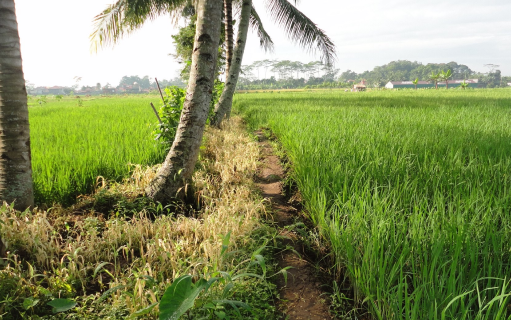 904331_481709395229187_112498767_o 1